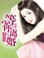 等你离婚来娶你