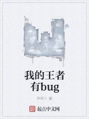 我的王者有bug